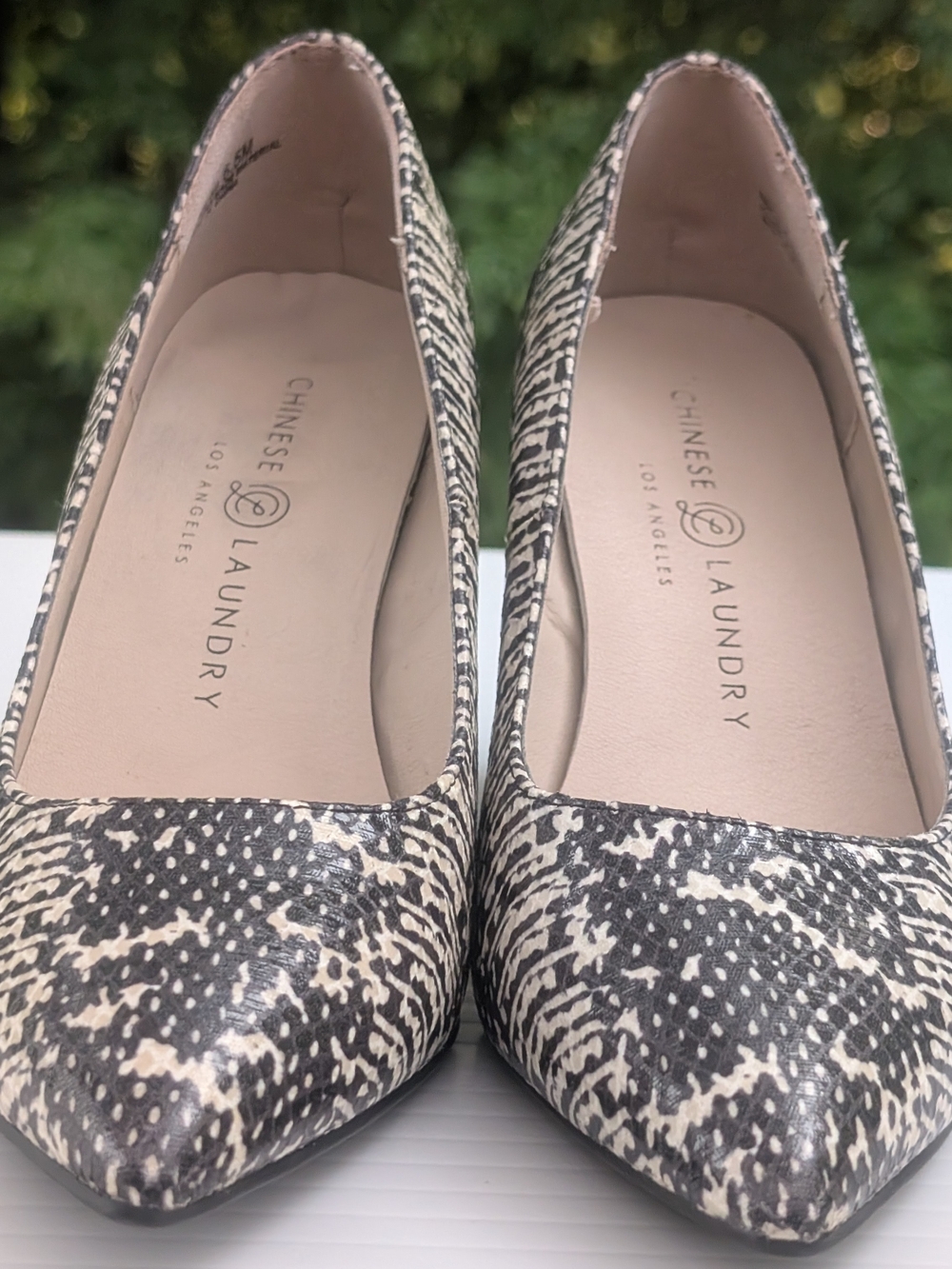 Chinese Laundry Black and Cream Pointed Toe Pumps with Subtle Pattern